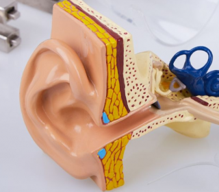 Fül-orr-gégészeti magánrendelés