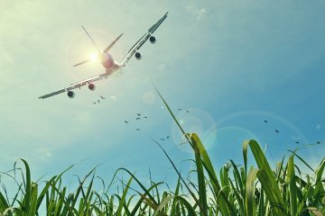 Az allergiások hajlamosabbak a repüléskor jelentkező füldugulásra